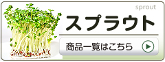 スプラウト