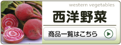 西洋野菜