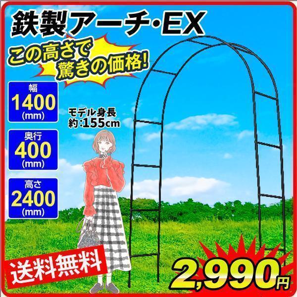 アーチ ガーデンアーチ ローズアーチ バラアーチ 鉄製アーチEX黒 1個 アイアン ガーデニング 幅140・奥行40・高さ240 庭 玄関 門 フラワー つるバラ 薔薇 国華園