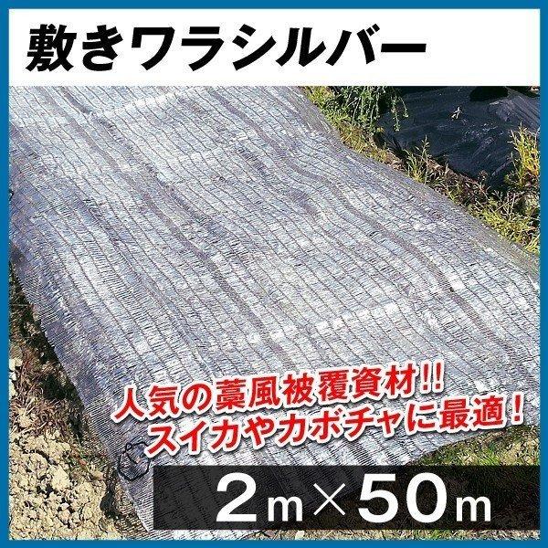 農業用マルチシート 敷きわら 敷きワラシルバー 2m×50m 1巻1組 農用 藁 ワラ風シート マルチング 被覆資材 ポリエチレン 透水 防虫 国華園