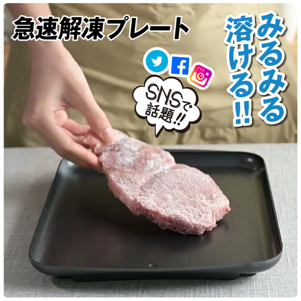 急速解凍 プレート　1個 解凍 キッチン 放熱 魚 刺身 肉 冷凍食品 エコ 時短 家事 調理器具 急速解凍プレート｜kokkaen2