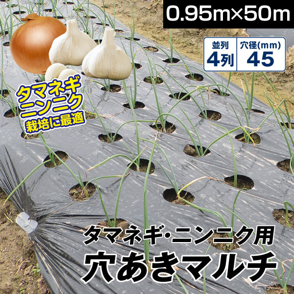国華園 農業用マルチシート マルチング 農ポリ タマネギ・ニンニク用
