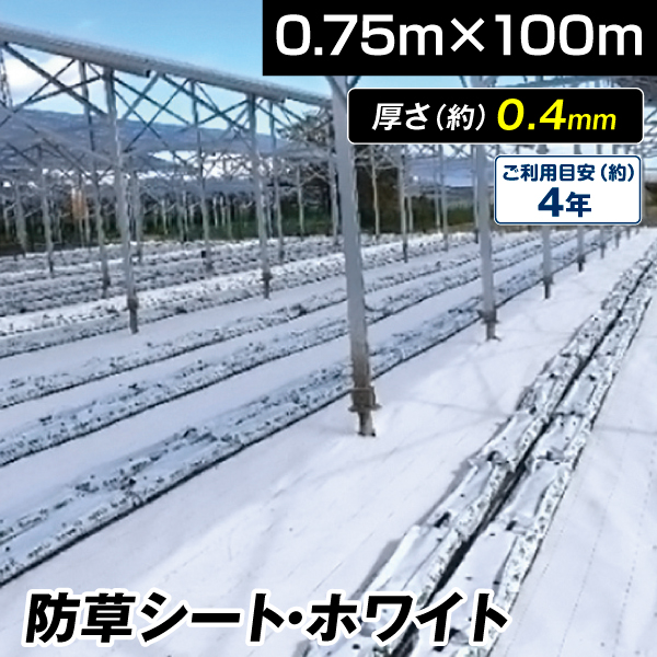楽天市場】シンセイ 高質防草シート 耐用年数4～6年 ブラック