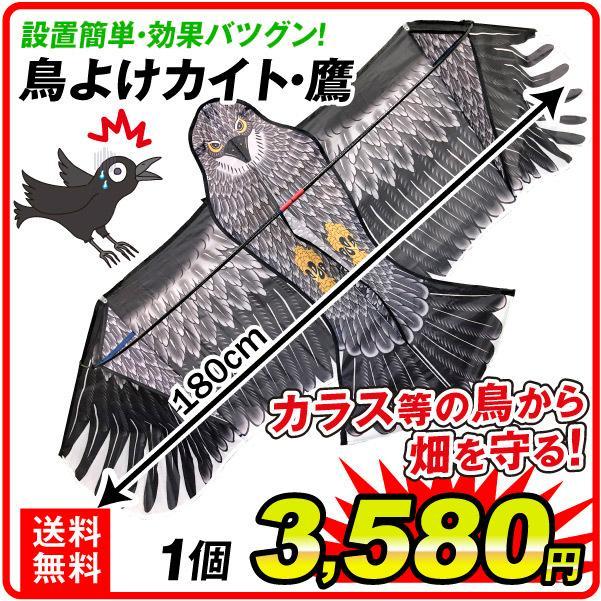 飾瓦 鷹 鳥よけ カラスよけ 瓦 鳥よけ カラスよけ カラス対策 凧 鳥よけカイト 鷹 1個 国華園
