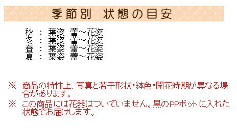 なでしこ様 🔹なでしこジャパン🔹 【2025.11.25 Photo Report①📸】 2025年ラスト