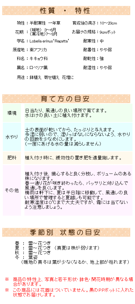 ロベリア スカイブルー レガッタシリーズ 9センチポット 3号 ここなぎ 通販 Yahoo ショッピング