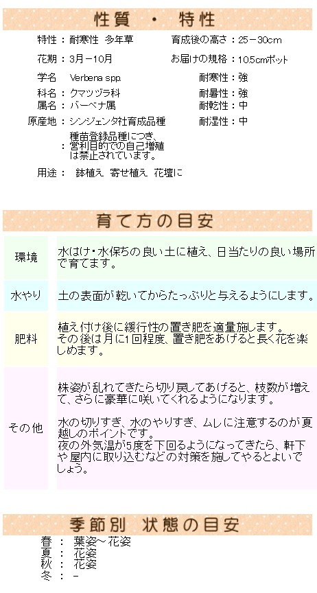 バーベナ ラナイ ヴィンテージウオッカ 10 5センチポット 3 5号 05p26mar16 ここなぎ 通販 Yahoo ショッピング