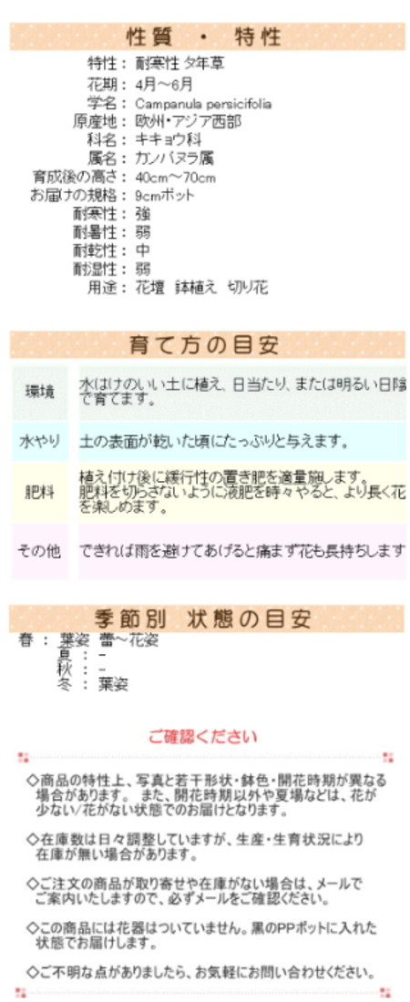 桃葉ききょう ブルー 苗 9センチポット 3号 桃葉 桔梗 モモバギキョウ モモバキキョウ ももばぎきょう ももばききょう  :10000745:ここなぎ - 通販 - Yahoo!ショッピング