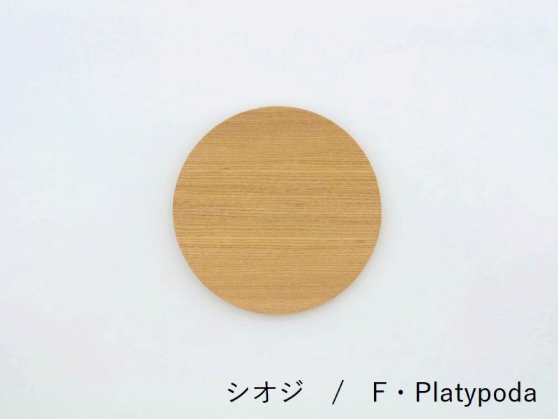 食洗器対応 GOLDCRAFT 中皿 NPD Round M ゴールドクラフト 日本製 木製 食器 丸い 丸皿 円形 平ら 平たい 薄い おしゃれ フラット シンプル｜kokoshoku｜03