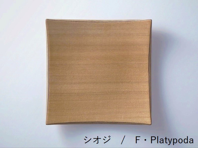食洗器で洗える GOLDCRAFT 角皿 shima (シマシマ) スクエア L 日本製