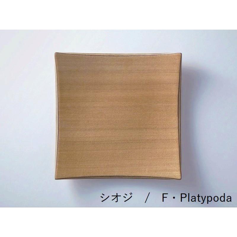 食洗器で洗える GOLDCRAFT 角皿 shima shima (シマシマ) スクエア L  日本製 木製 食器 木 皿 お洒落 四角 食器 ディッシュ ウッド｜kokoshoku｜02