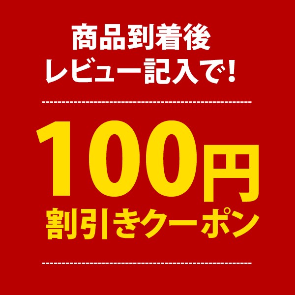 【着後商品レビュー記入で】100円OFFクーポン