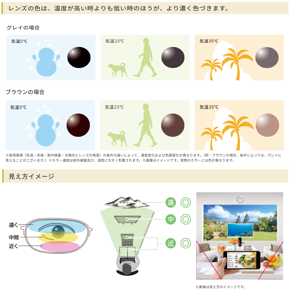 オプションレンズ】HOYA ホヤ 中近両用 可視光調光 ミラーコート