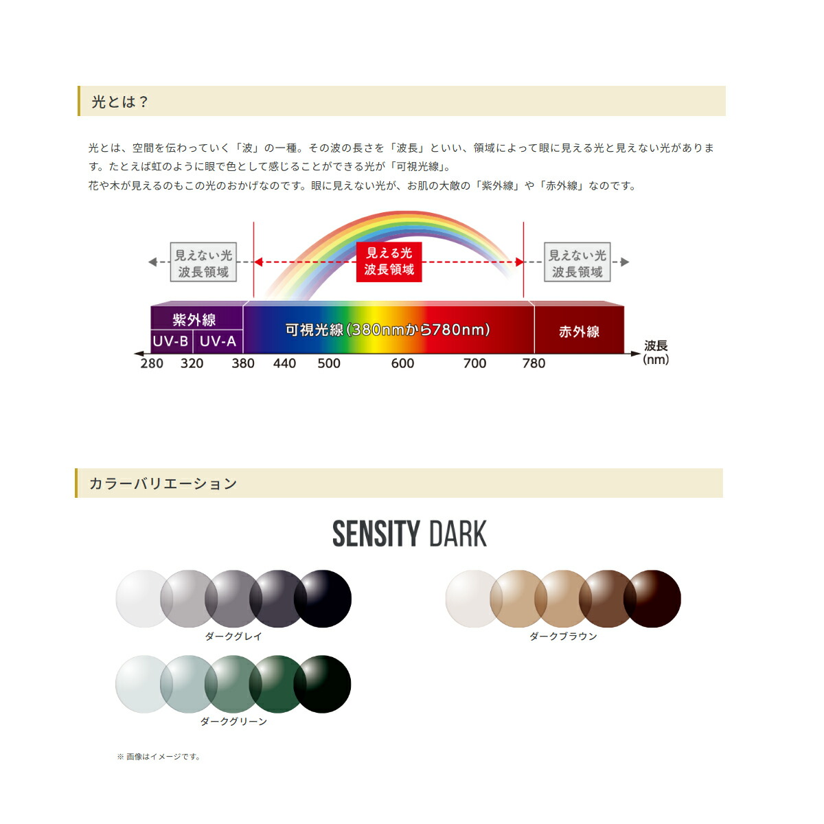 オプションレンズ】HOYA ホヤ 遠近両用 可視光調光 ジェネラックスHG