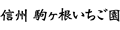 信州駒ヶ根いちご園 ロゴ