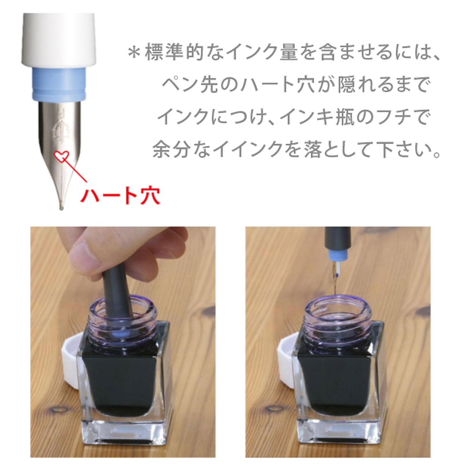 セーラー万年筆 最大P19％☆爆買WEEK 万年筆ペン先のつけペン hocoro