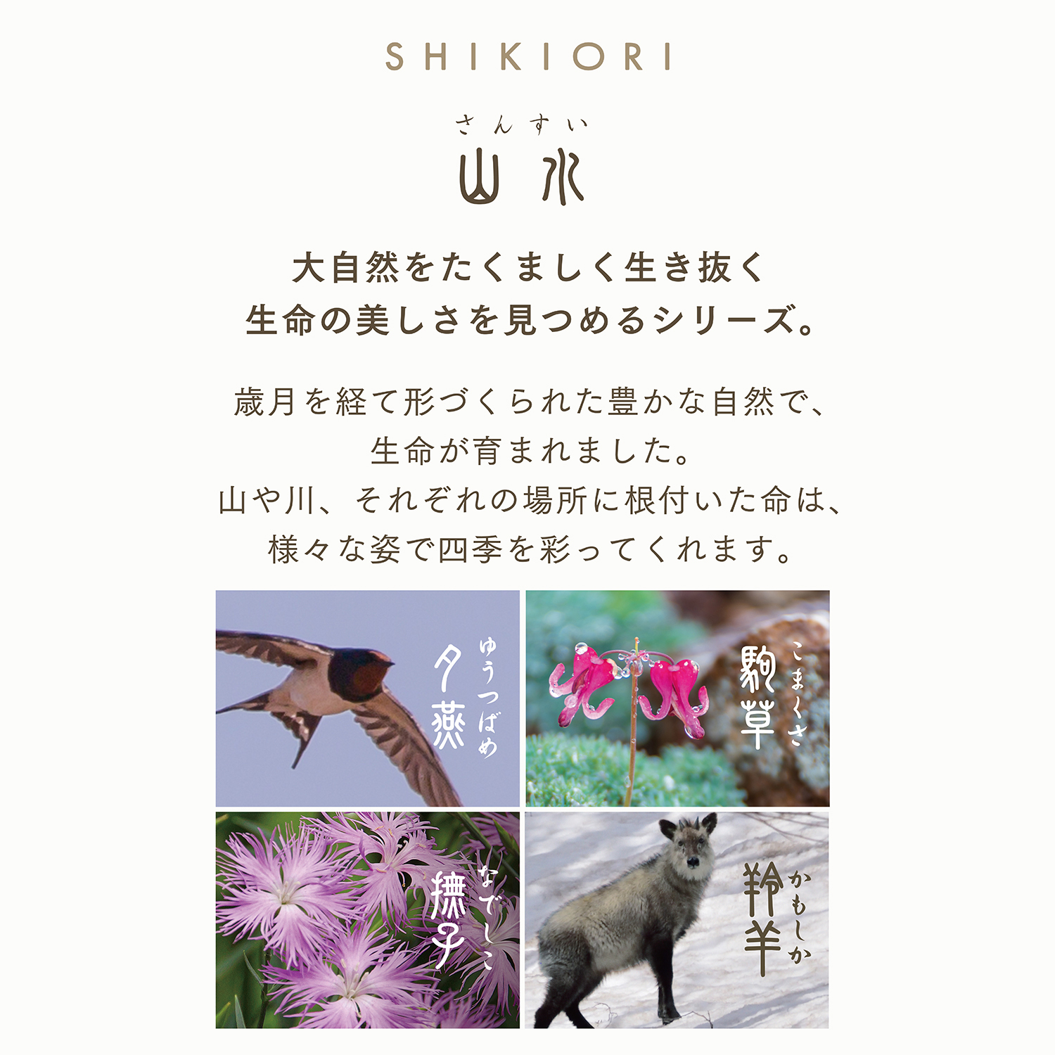 セーラー万年筆 SHIKIORI 四季織 山水 万年筆用カートリッジ