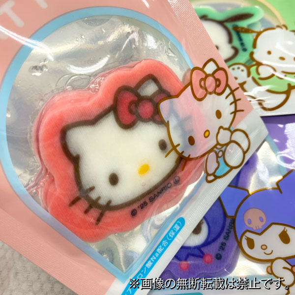カミオジャパン サンリオキャラクターズ ポイントパック 全5種 乾燥
