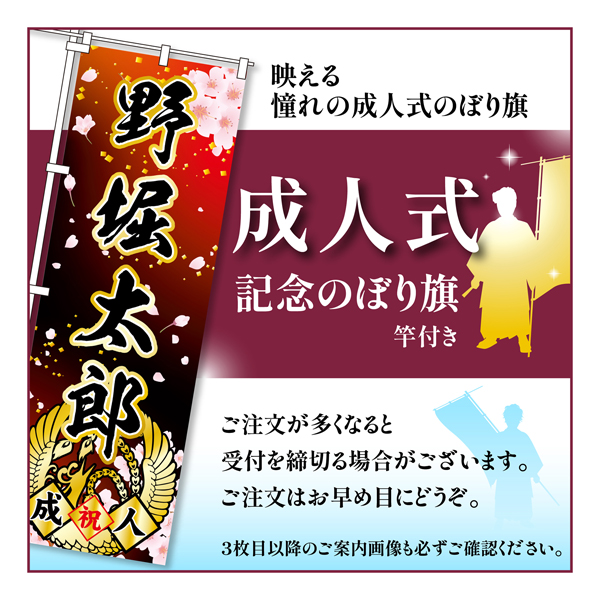 成人式 のぼり旗 ポール付き 成人式柄 59 桜 自由に名入れ オリジナル のぼり 祝成人 注文簡単 納期相談 600mm幅 :  td60sei-59-1 : こまもの本舗 Yahoo!店 - 通販 - Yahoo!ショッピング