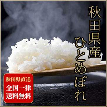 こまち姫20kg】令和7年産 東北産 こまち姫（オリジナルブレンド米