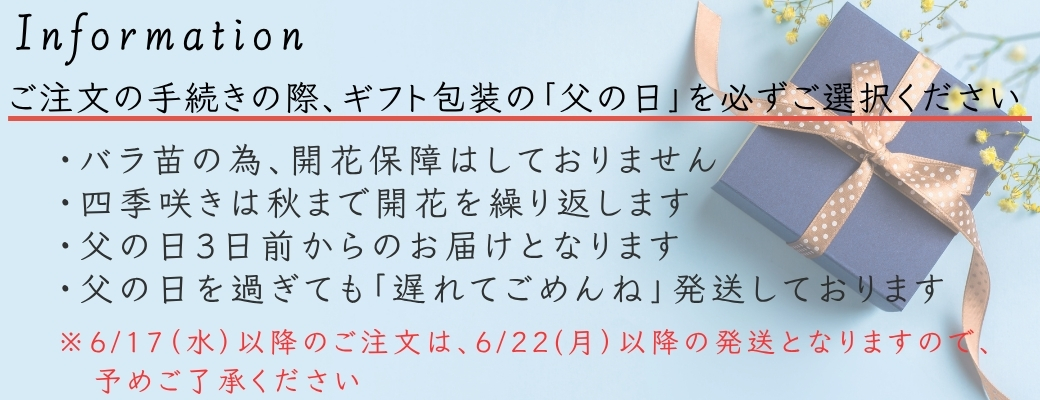 コマツガーデン Yahoo!店 - 父の日｜Yahoo!ショッピング