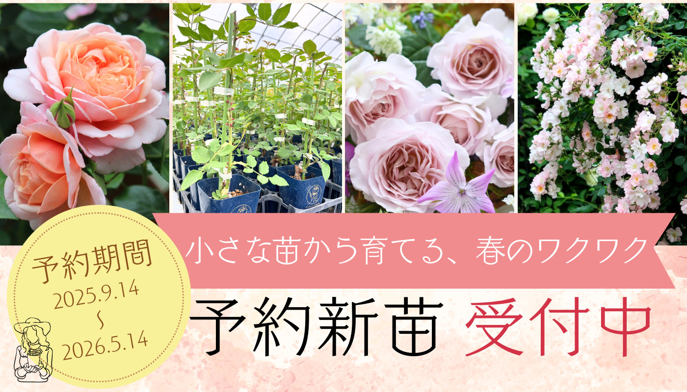 コマツガーデン Yahoo!店 - Yahoo!ショッピング