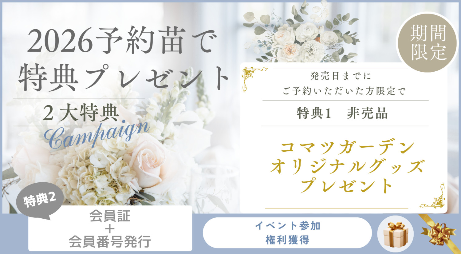 予約大苗2026 - コマツガーデン Yahoo!店 - 通販 - Yahoo!ショッピング