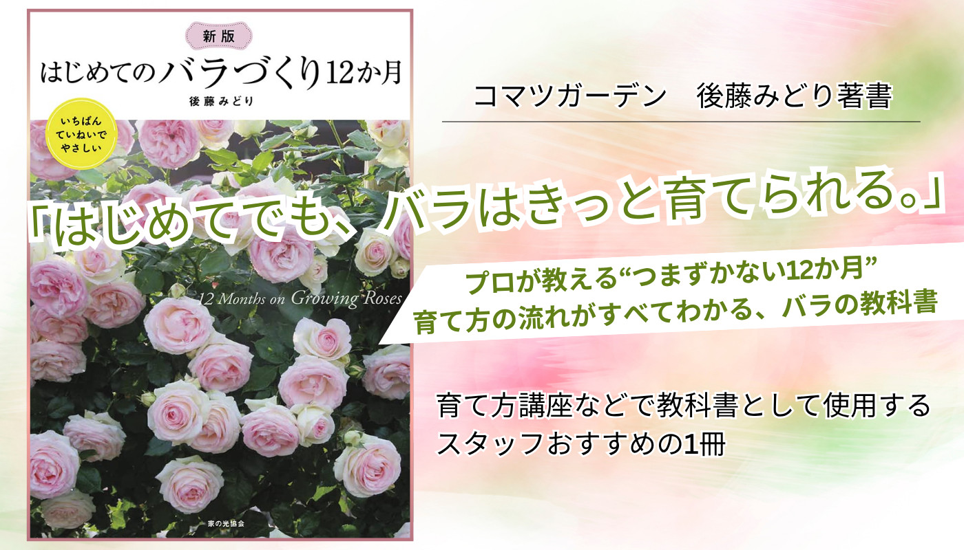 書籍 鉢バラを楽しむ