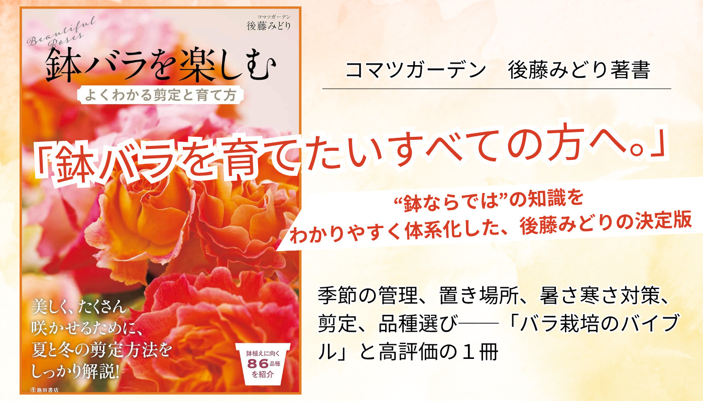 書籍 はじめてのバラづくり12か月