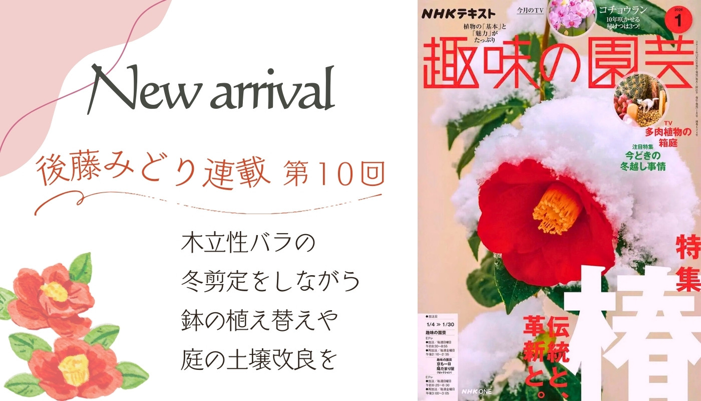 コマツガーデン Yahoo!店 - Yahoo!ショッピング