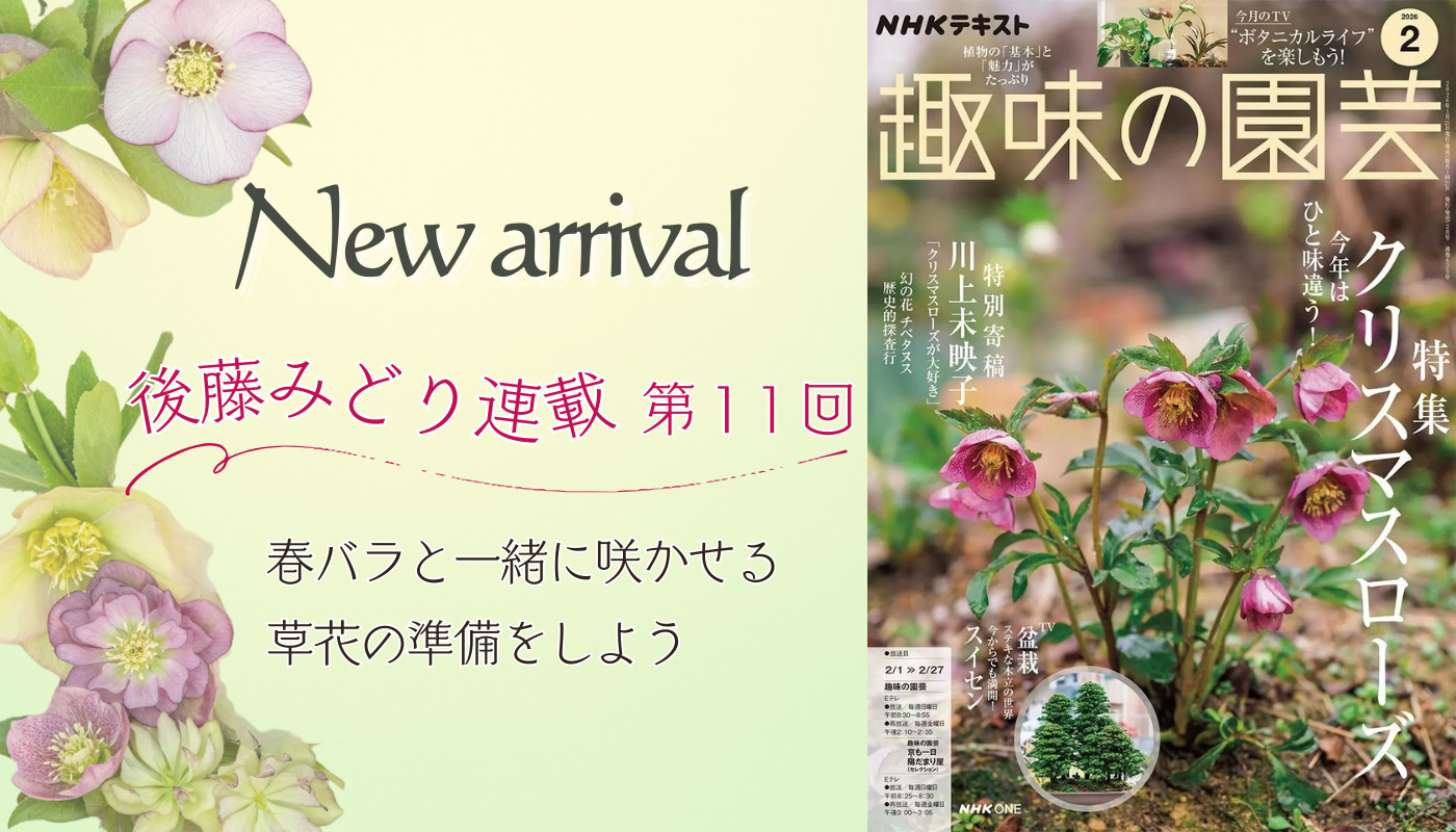 コマツガーデン Yahoo!店 - Yahoo!ショッピング