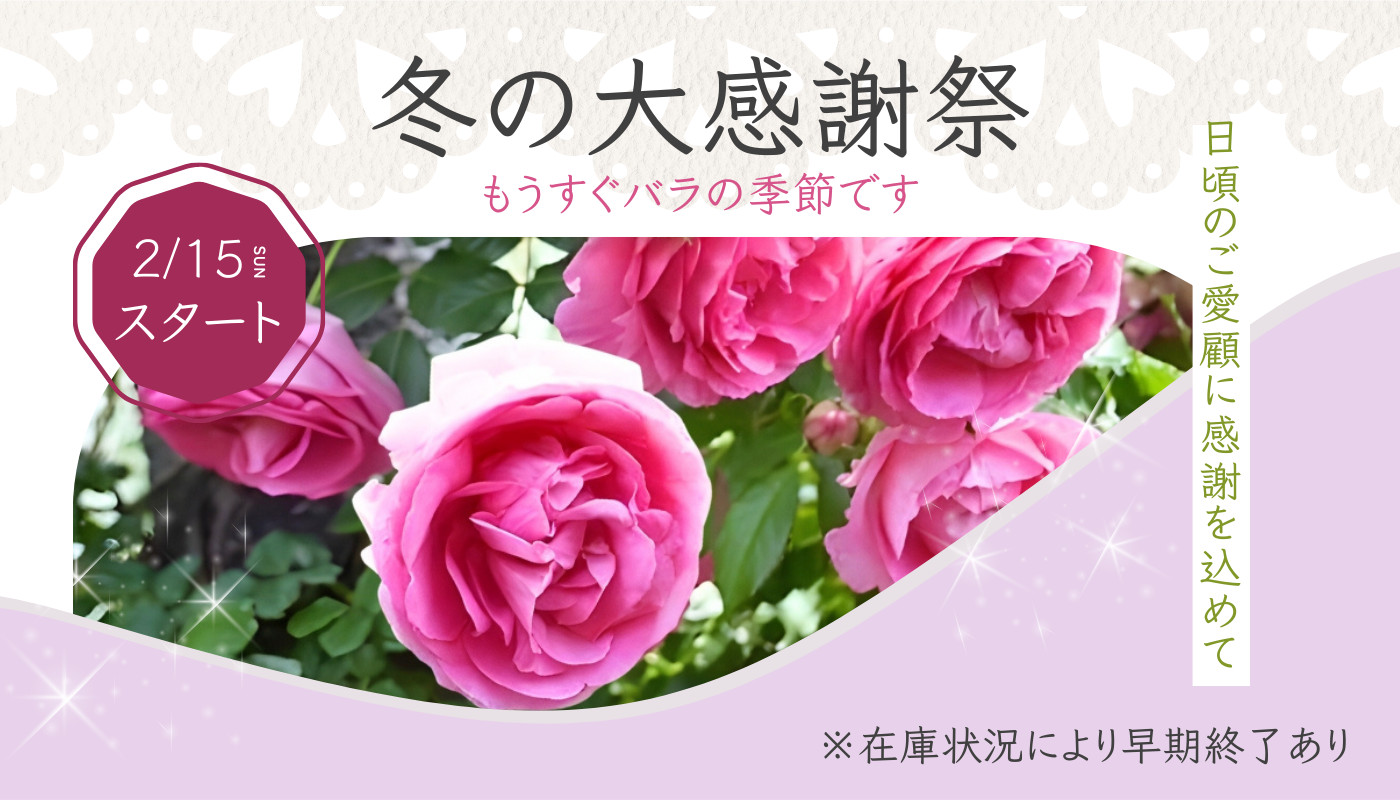 コマツガーデン Yahoo!店 - Yahoo!ショッピング