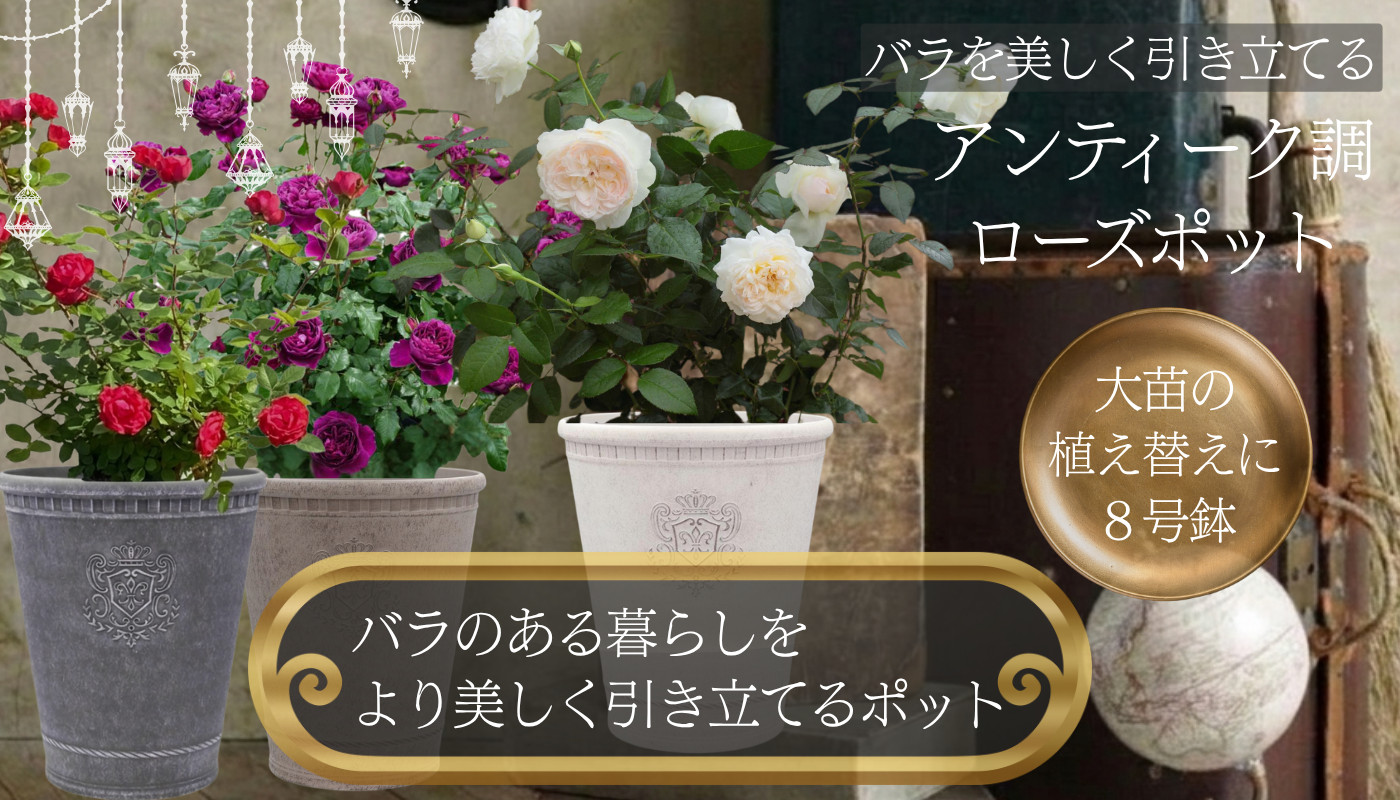 アンティーク調 ローズポット