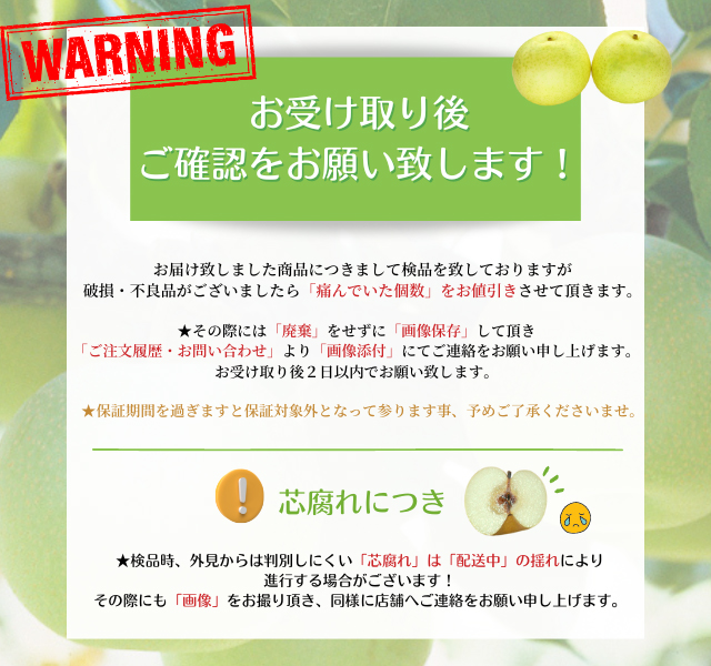 二十世紀梨 10kg M-３L（22〜44個）20世紀梨 なし 鳥取県産 (ご自宅用