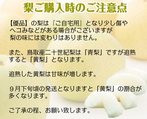 黄梨