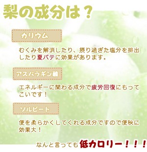 説明