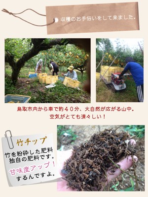お手伝い
