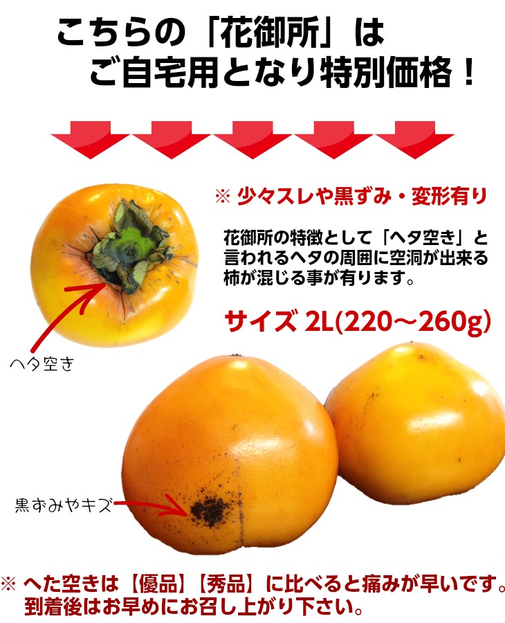 花御所柿（優品ご自宅用訳あり）５kg Mー３Lサイズ（18〜36個前後） 柿 （ヘタ空き有） 鳥取産かき 送料無料 :hanayu5:小松屋 - 通販  - Yahoo!ショッピング