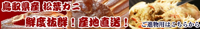 セコガニ 訳有り せこがに セイコガニ 香箱かに 蟹 山陰沖産 カニ 親がに たっぷり１キロ前後（４ー９枚）