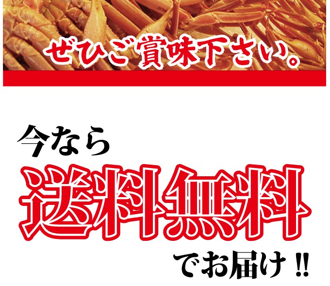 セコガニ 訳有り せこがに セイコガニ 香箱かに 蟹 山陰沖産 カニ 親がに たっぷり１キロ前後（４ー９枚）