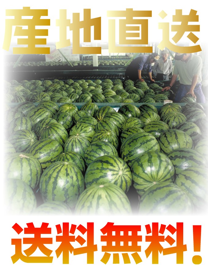すいか送料無料