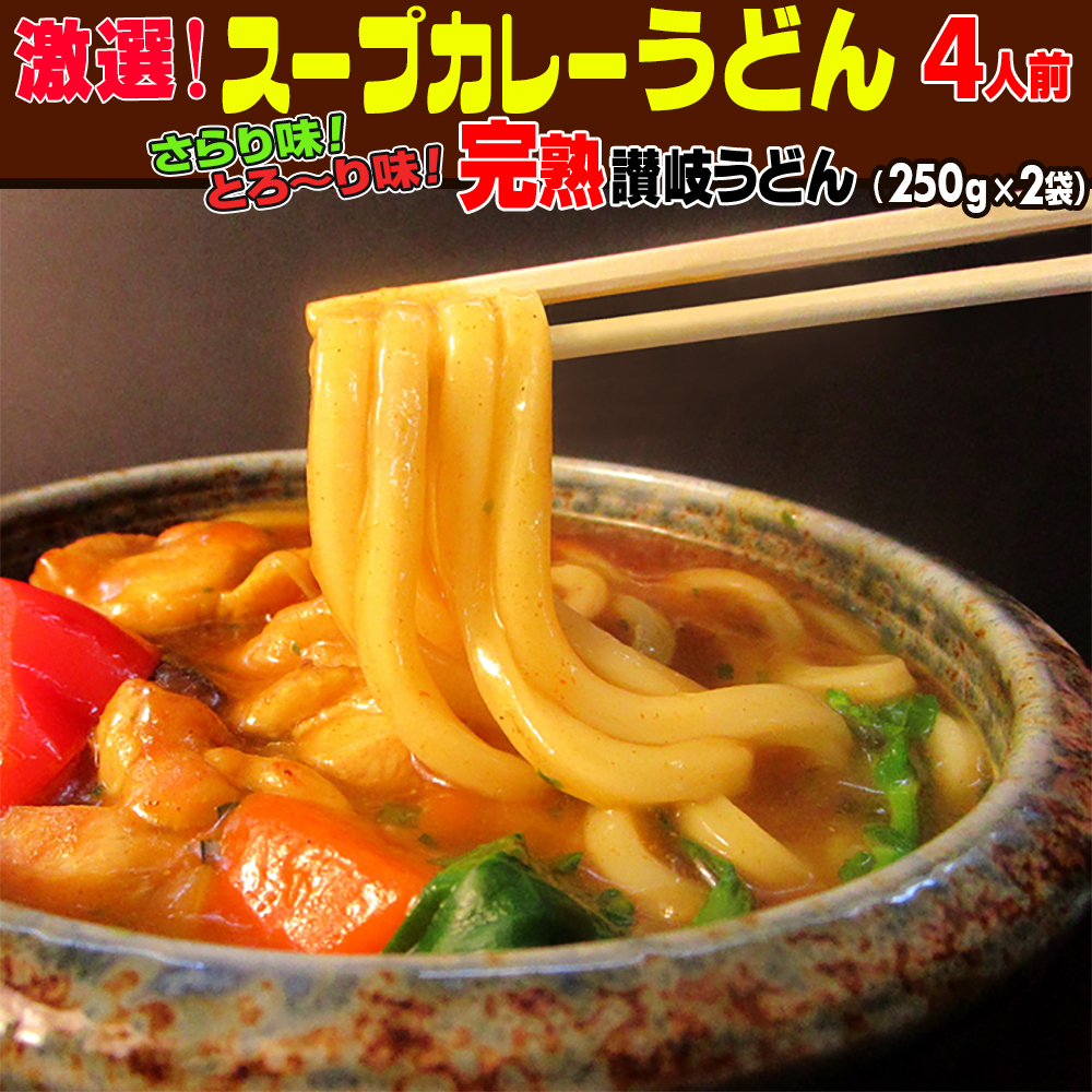 激選スープカレー 讃岐うどん 4人前セット ネコポス お試し 讃岐 食品 ポイント利用 お試し商品 サンプル