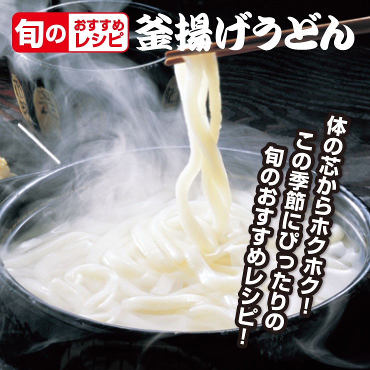 卸し売り購入 1000円ポッキリ 激ウマ 讃岐 熟成 ちょい 生太 うどん ドーンと 9食 便利な個包装 900g 送料無料 最安値 挑戦 得トクセール  特産品 punktsporny.eu