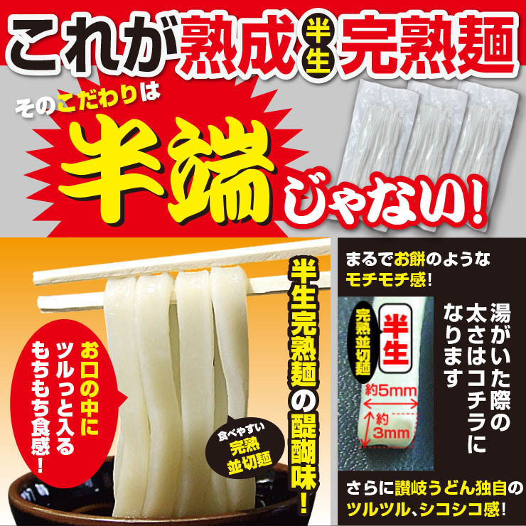 スピード対応 全国送料無料 ポイント15% 1000円ポッキリ 激ウマ 讃岐 熟成 半生 完熟 並切麺 6～8食 便利な個包装 750g 送料無料  最安値挑戦 得トクセール 特産品 sarozambia.com