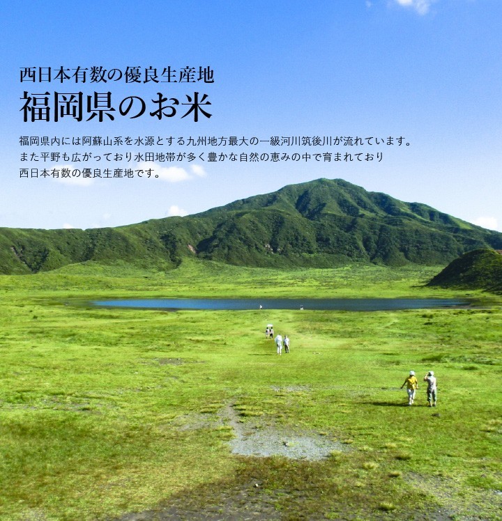 やんゆき様専用 準自然米 福岡県産「元気つくし」令和5年産 玄米20kgの