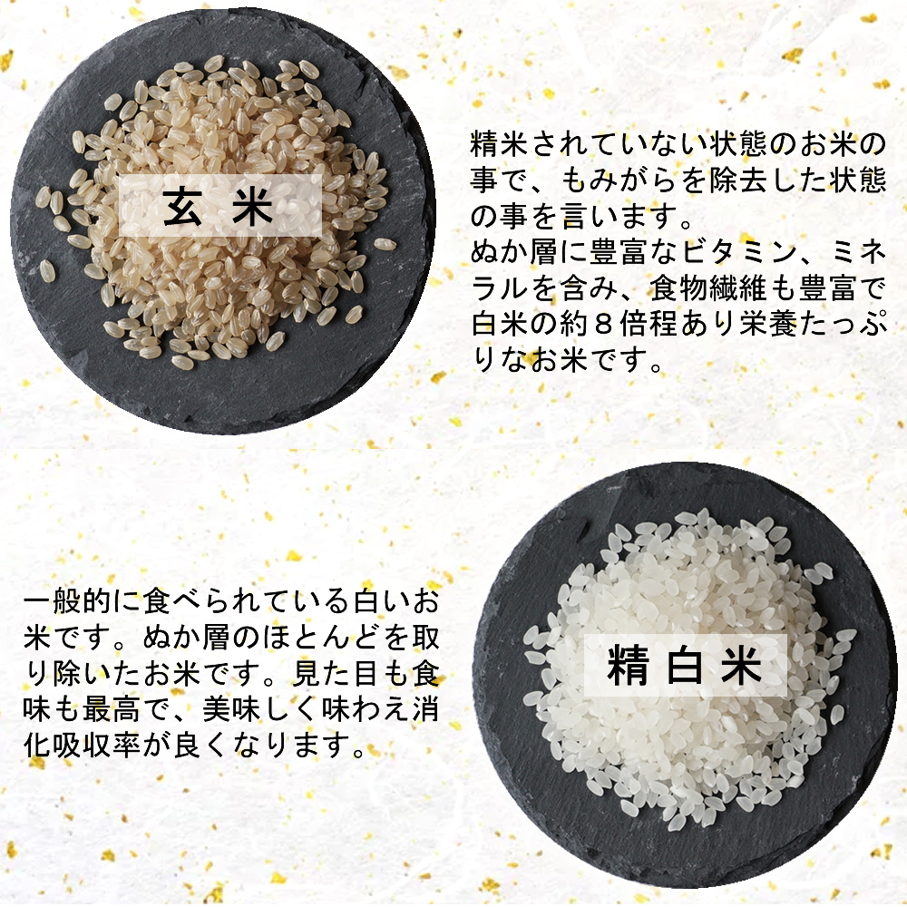 政府備蓄米 令和3年産 5kg 備蓄米 米屋のつきたて米 3営業日以内出荷