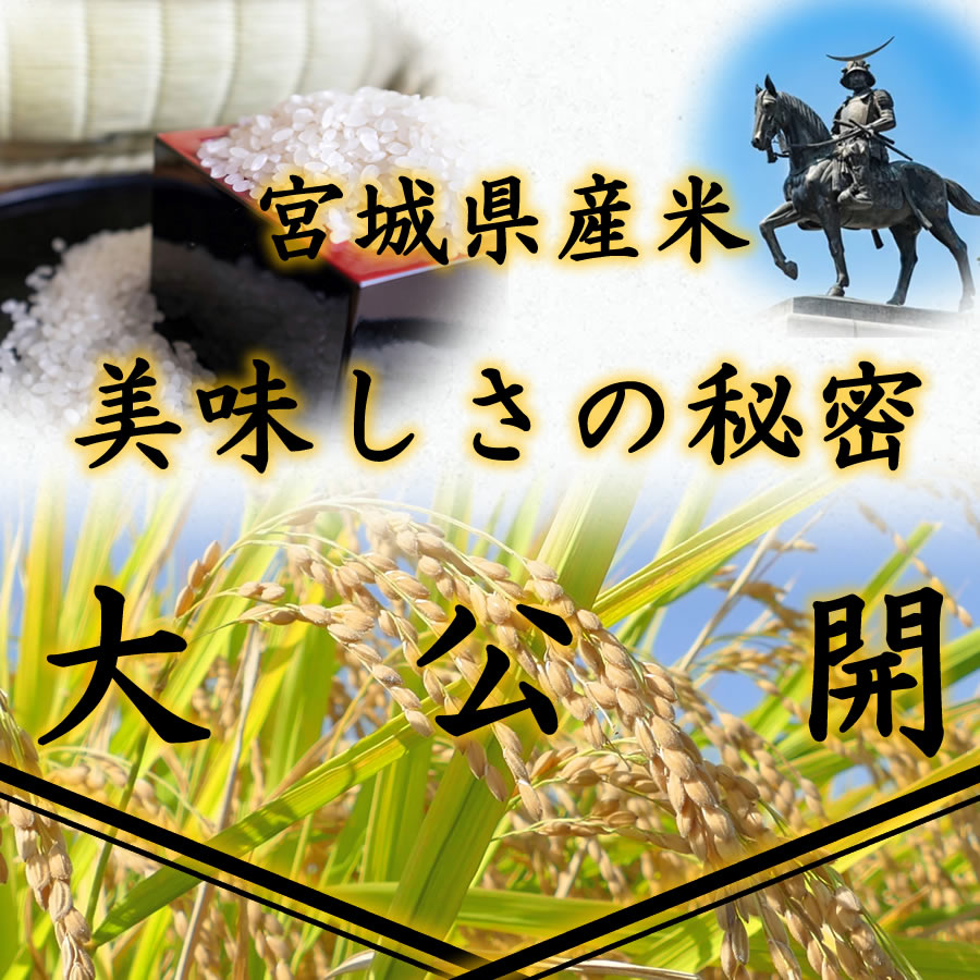 ひとめぼれ お米 米 20kg 令和6年産 送料無料 宮城県産 玄米 5分