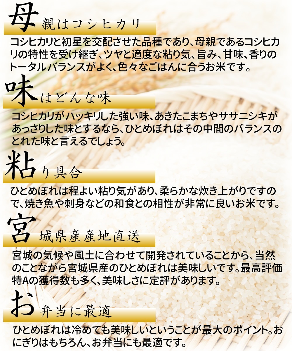 お米 30kg 宮城県産 ひとめぼれ 令和5年産 送料無料 米処 玄米 5分 7分