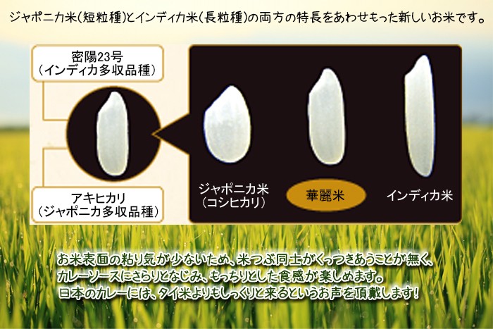 新潟県産 妙高 華麗舞 白米 1kg : 米問屋蔵之助 - 通販 - Yahoo