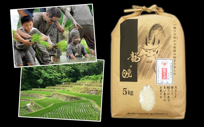 龍の瞳 2kg 令和6年産 : 米問屋蔵之助 - 通販 - Yahoo!ショッピング